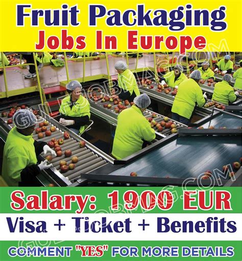 Fruit Picking for the Second Year Visa. . Fruit picking jobs in europe with visa sponsorship
